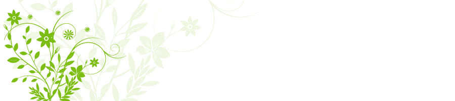 ̐I炪`IEɈ̑蕨ɂȂ|ACfA